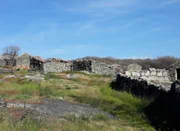 portugal/beira-litoral/landmark/palheiros-de-fiais-da-beira