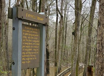 mississippi/natchez-trace-parkway/landmark/cypress-swamp