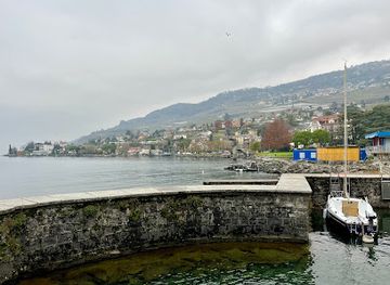 switzerland/vevey/landmark/port-nestle