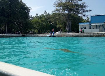 maldives/noonu-atoll/landmark/southern-miladhunmadulu-atoll