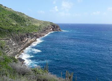 antigua-and-barbuda/saint-john/landmark/big-banana