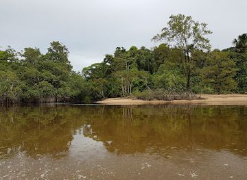suriname/tafelberg-nature-reserve/landmark/galibi-nature-reserve