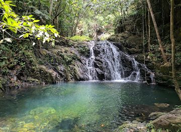 belize/cockscomb-basin-wildlife-sanctuary/landmark/mayflower-bocawina-national-park