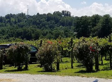 north-carolina/hendersonville/landmark/saint-paul-mountain-vineyards
