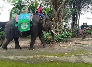 indonesia/jambi/landmark/taman-rimbo-zoo-area