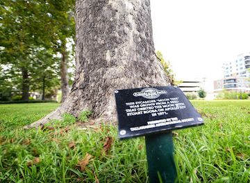 florida/tallahassee/landmark/apollo-14-moon-tree