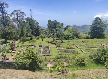jamaica/liguanea-plains/landmark/cinchona-botanical-gardens-ja