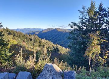 north-carolina/great-smoky-mountains/landmark/newfound-gap