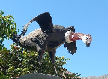 peru/ica/landmark/ica-peru