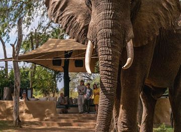 zambia/lusaka-national-park/landmark/try-zambia-travel-and-tours