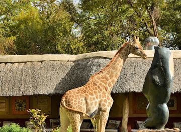 zimbabwe/mashonaland-west/landmark/pamuzinda-safari-lodge