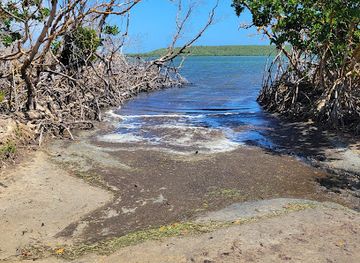 puerto-rico/vieques-island/landmark/puerto-mosquito-bioluminescent-bay