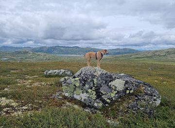 norway/vestfold-og-telemark/landmark/sonstevatten-trail