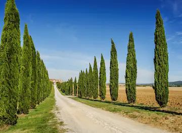 La Toscana Ristorante