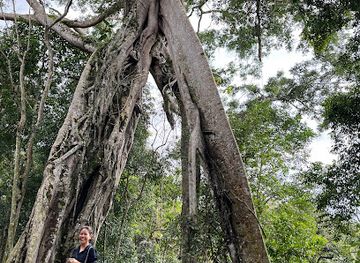 vietnam/northwest/landmark/nam-nung-nr