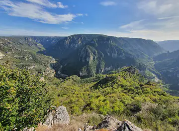 Sublime Point