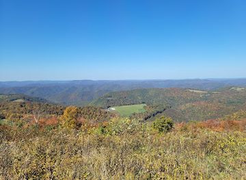 west-virginia/monongahela-national-forest/landmark/olson-observation-tower
