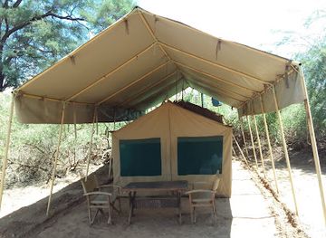 kenya/samburu-national-reserve/landmark/lion-king-safari-bush-camp