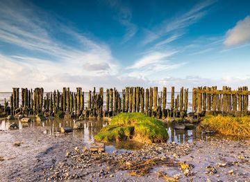 netherlands/wadden-islands/landmark/peazemerlannen