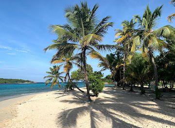 saint-vincent-and-the-grenadines/palm-island/landmark/petit-rameau