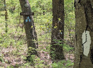 new-jersey/appalachian-trail/landmark/appalachian-trail-turquoise-trail-junction