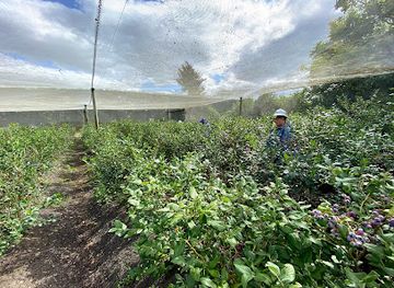 new-zealand/hawke-s-bay/landmark/ruby-glen-orchard