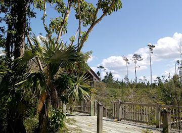 the-bahamas/grand-bahama-island/landmark/rand-nature-center