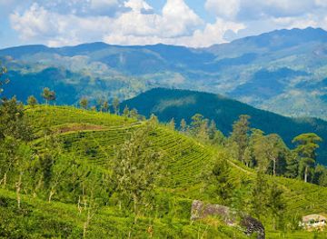 sri-lanka/kandy-district/landmark/hatale-mini-world-s-end