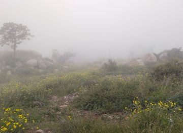 saudi-arabia/al-hada/landmark/taif-view-point