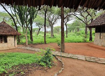 tanzania/ruaha-region/landmark/tandala-tented-camps-safaris-ltd