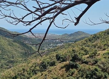 puerto-rico/guayama/landmark/casa-del-caminero-guayama