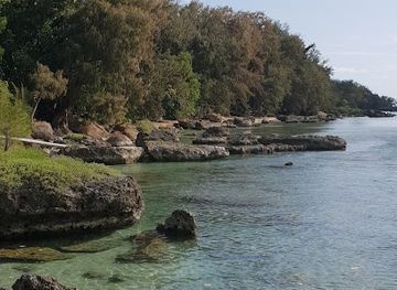 vanuatu/shefa-province/landmark/roawia-turtle-and-snorkelling-tours-vanuatu