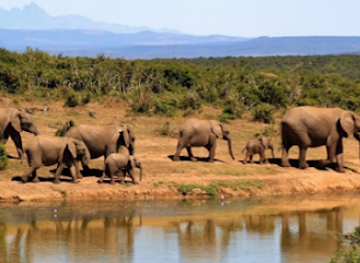 uganda/queen-elizabeth-national-park/landmark/rwenzori-mountains-national-park