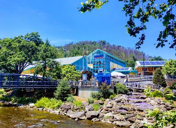 tennessee/gatlinburg/landmark/ripley-s-aquarium-of-the-smokies