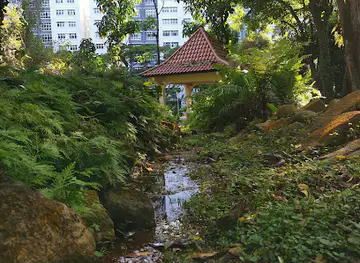 Stream Garden