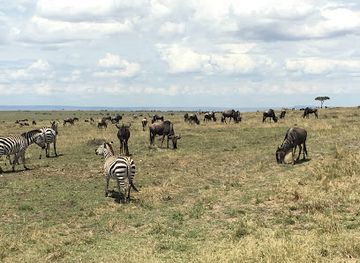 tanzania/serengeti-national-park/landmark/moru-kopjes