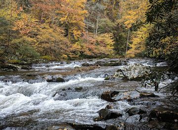 north-carolina/pisgah-national-forest/landmark/pisgah-national-forest-rocky-bluff-recreation-area