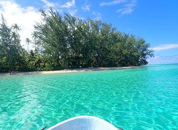 french-polynesia/raiatea/landmark/te-mara-nui
