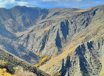 uzbekistan/nuratau-mountains/landmark/ancient-petroglyphs-in-the-nuratau-mountains