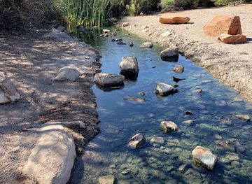 arizona/gila-county/landmark/riparian-preserve-at-water-ranch
