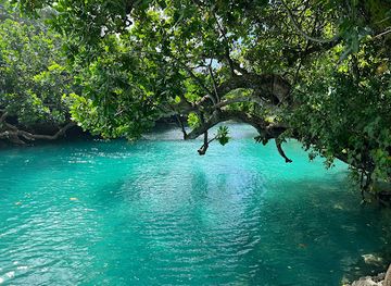 vanuatu/shefa-province/landmark/vila-hope-tours-transfers