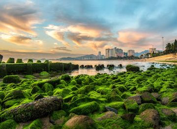 vietnam/nha-trang/landmark/bai-reu-nha-trang