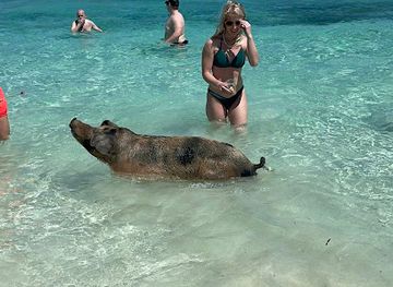 the-bahamas/nassau-and-paradise-island/landmark/pigs-beach