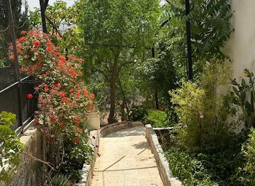 jordan/jerash/landmark/white-tulips-jerash