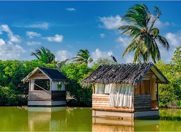 maldives/gnaviyani-atoll/landmark/south-palm-maldives