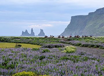 iceland/vík-í-mýrdal/landmark/wok-in-vik