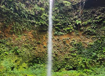 dominica/indian-river/landmark/spanny-falls