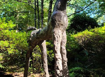 washington/bellingham/landmark/big-rock-garden-park