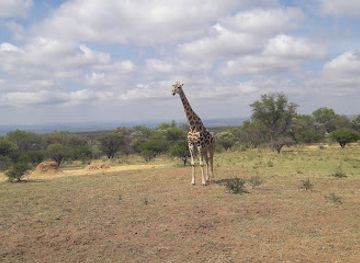 south-africa/bushveld/landmark/ant-s-hill