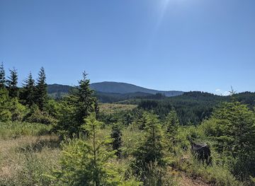 oregon/mount-hood-national-forest/landmark/mount-hood-wilderness